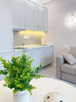 студия, 25 м², этаж 24