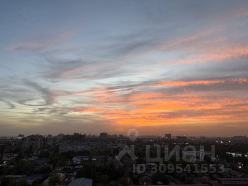 Студия, 26 м², 17/24 этаж