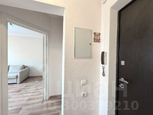 1-комн.кв., 30 м², этаж 8