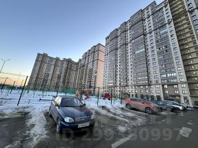 2-комн.кв., 53 м², этаж 8