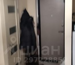 студия, 25 м², этаж 1