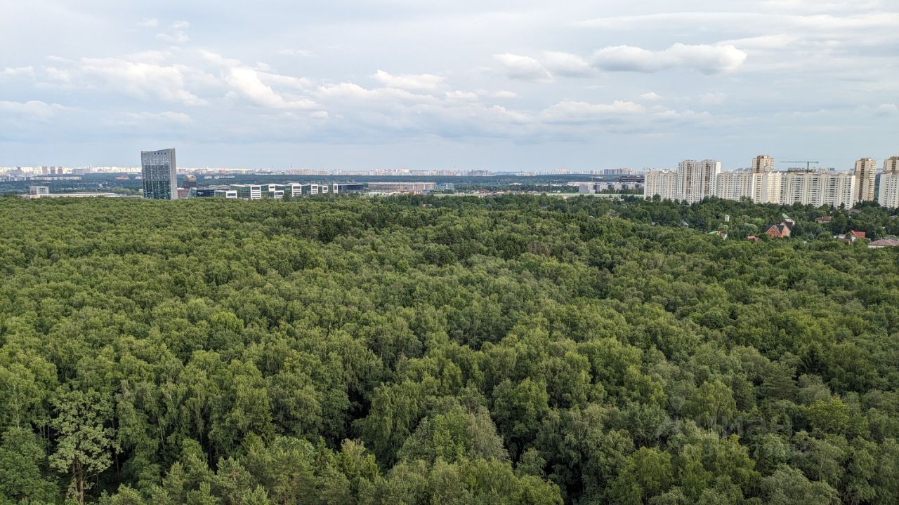 Купить 1-комнатную квартиру вторичка в микрорайоне Новая Трехгорка в городе  Одинцово, продажа 1-комнатных квартир на вторичном рынке. Найдено 35  объявлений.