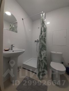 студия, 25 м², этаж 10