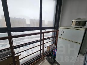 студия, 21 м², этаж 12