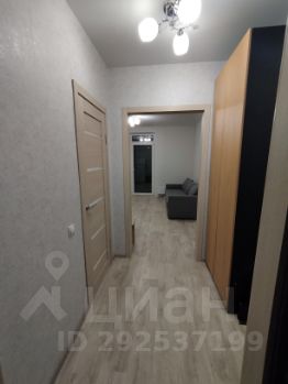 студия, 26 м², этаж 11