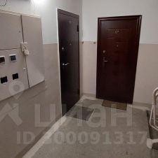 2-комн.кв., 50 м², этаж 9