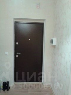 студия, 36 м², этаж 17