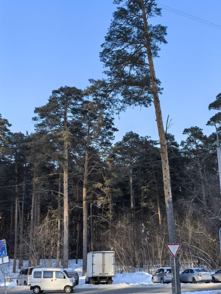 Квартира, р-н Заельцовский, Новосибирск