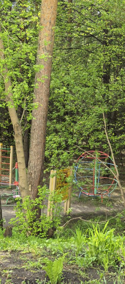 3-комн. кв., р-н Заельцовский, Новосибирск