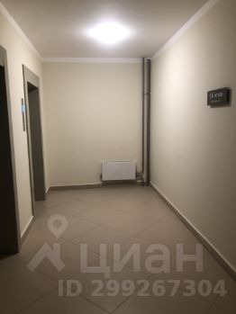 студия, 30 м², этаж 16