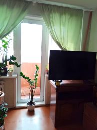 1-комн.кв., 31 м², этаж 2