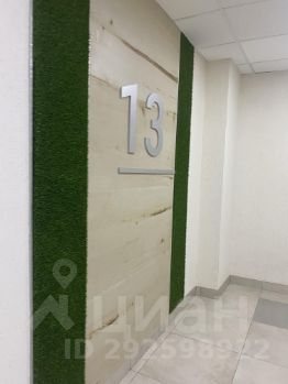 студия, 24 м², этаж 13