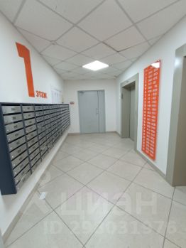 1-комн.кв., 37 м², этаж 8