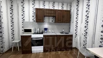 студия, 27 м², этаж 8