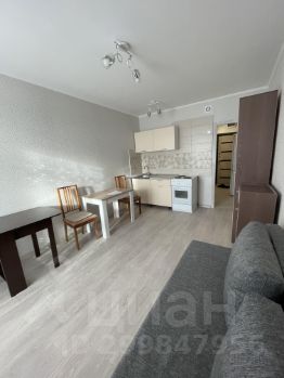 студия, 24 м², этаж 5