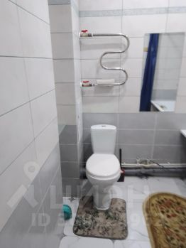 студия, 35 м², этаж 17