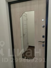 студия, 28 м², этаж 16