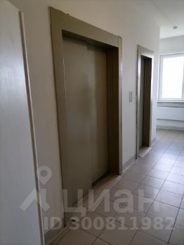 студия, 32 м², этаж 11