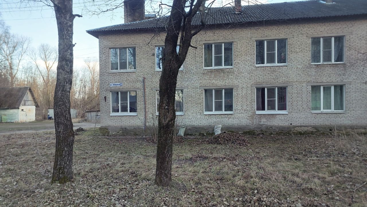 Квартира 1-комн. 30.6 м² в д. Новый Изборск — фото 3