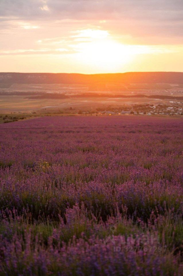 Студия Краснодарский край, Сочи Новый Сочи мкр, ул. Санаторная, 50БлитБ (20.0 м²)