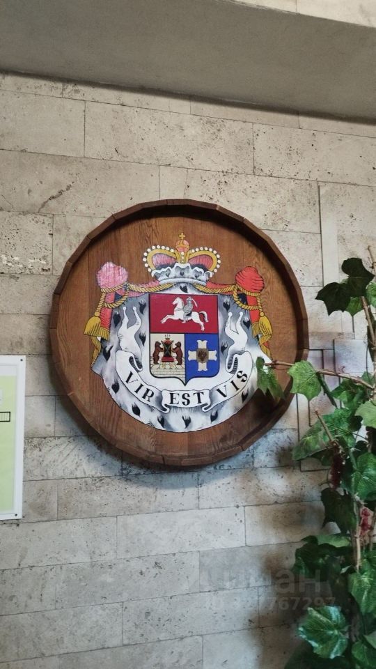 Студия Краснодарский край, Сочи Новый Сочи мкр, ул. Санаторная, 50БлитБ (20.0 м²)