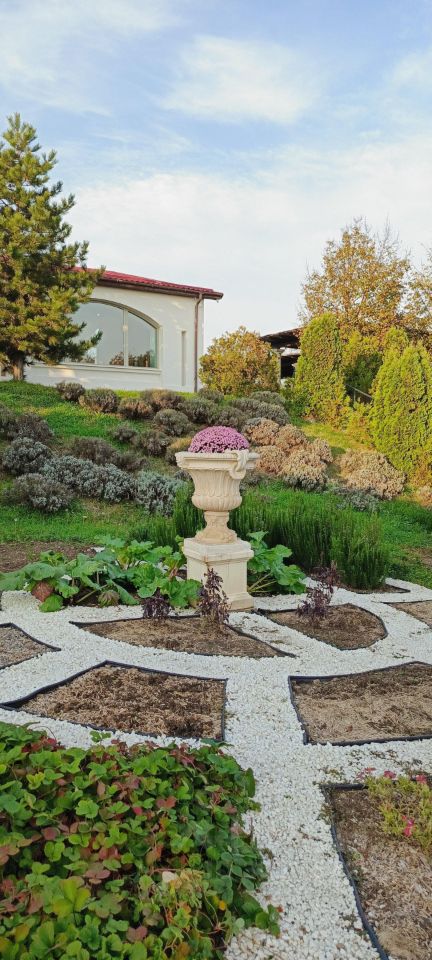 Студия Краснодарский край, Сочи Новый Сочи мкр, ул. Санаторная, 50БлитБ (20.0 м²)