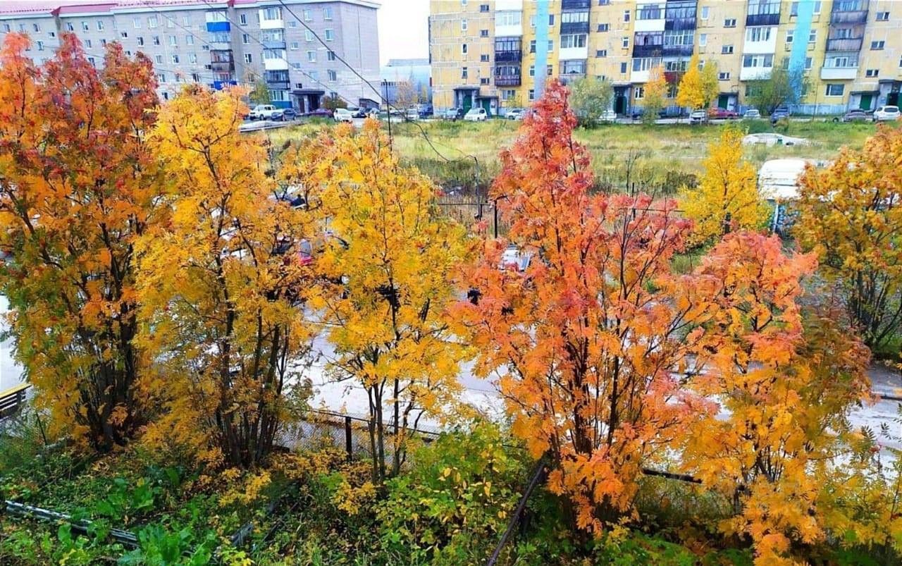 Купить квартиру на улице Транспортная в городе Ноябрьск, продажа квартир во  вторичке и первичке на Циан. Найдено 18 объявлений