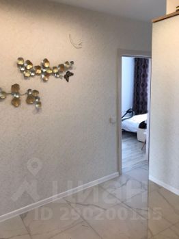 1-комн.кв., 50 м², этаж 12