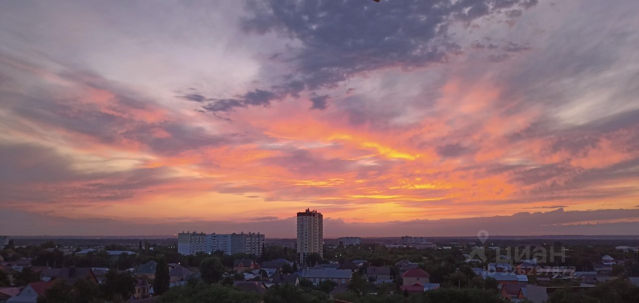 1-к кв. Оренбургская область, Оренбург Ноябрьская ул., 42 (26.0 м²)