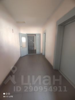 студия, 29 м², этаж 9