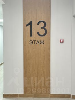 студия, 28 м², этаж 13