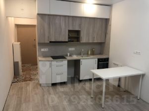 студия, 25 м², этаж 7