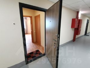 студия, 26 м², этаж 5