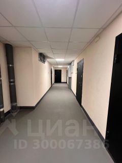 студия, 24 м², этаж 22