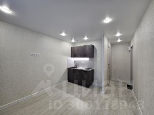 студия, 18 м², этаж 4