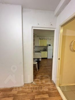 студия, 26 м², этаж 12