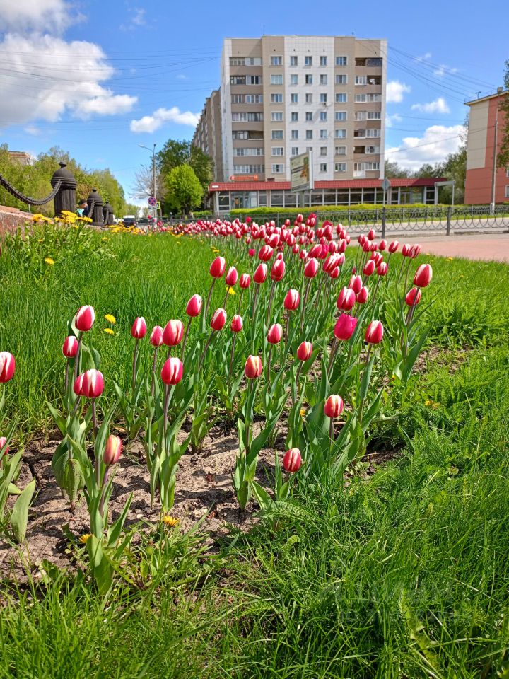 Продаю трехкомнатную квартиру 60.3м² ул. Ленина, 15/2, Подольск ...