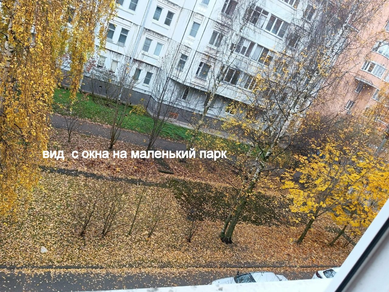 3-к кв. Псковская область, Псков Юбилейная ул., 32Б (81.0 м²)