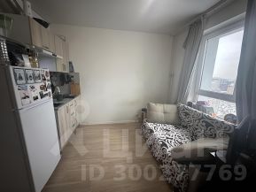 студия, 19 м², этаж 24