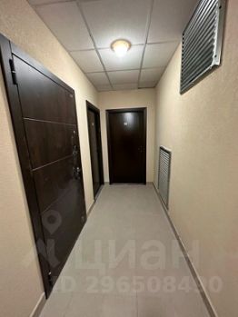 студия, 29 м², этаж 16