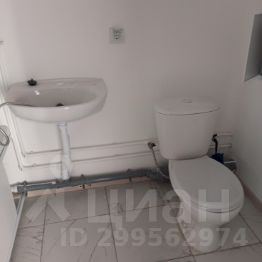 студия, 26 м², этаж 11