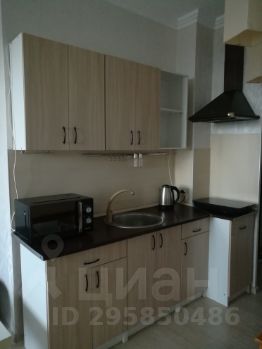 студия, 24 м², этаж 15