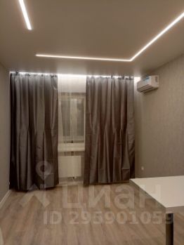 студия, 25 м², этаж 13