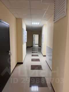 студия, 26 м², этаж 16