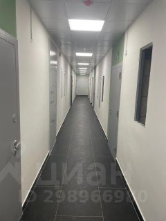 студия, 25 м², этаж 12