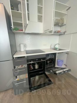 студия, 25 м², этаж 12