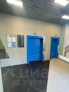 студия, 25 м², этаж 12