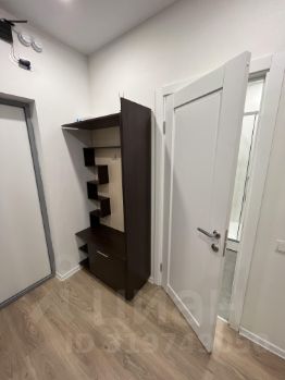 студия, 26 м², этаж 13
