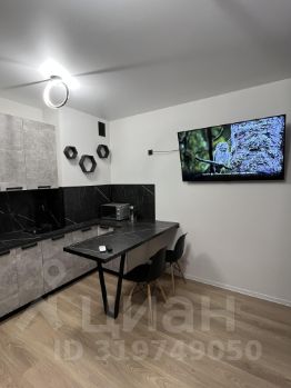 студия, 26 м², этаж 13