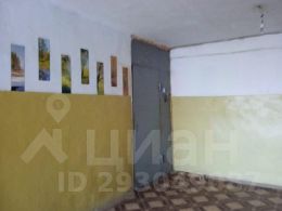 комната 54/24 м², этаж 4